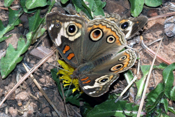 Image 400x300