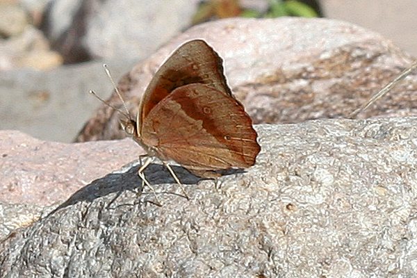 Image 400x300