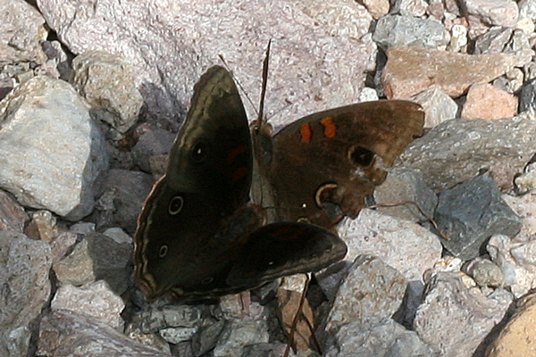 Image 400x300