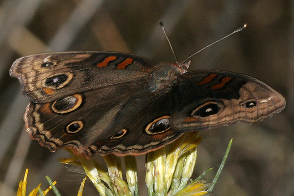 Image 400x300