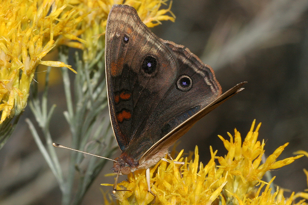 Image 400x300
