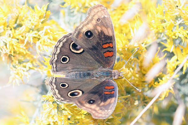 Image 400x300