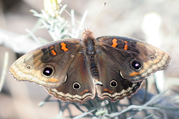 Image 400x300