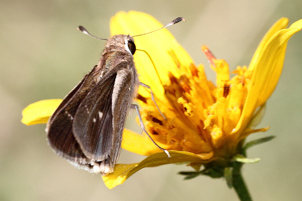 Image 400x300