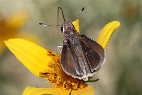 Image 400x300