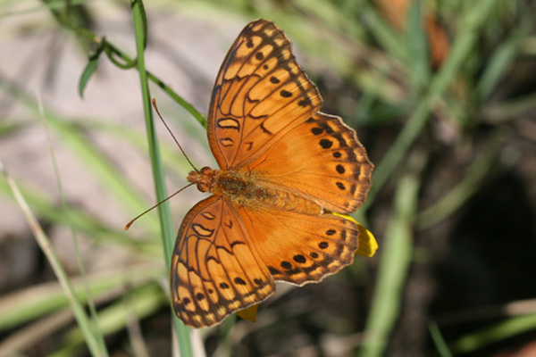 Image 400x300