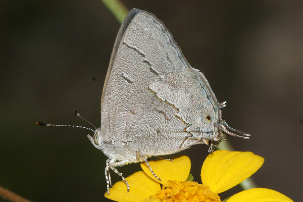 Image 400x300