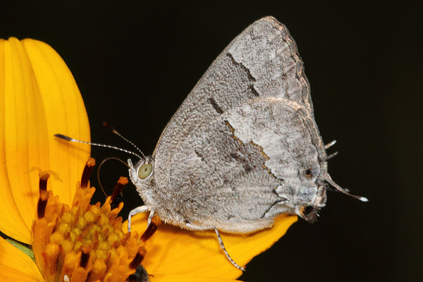Image 400x300