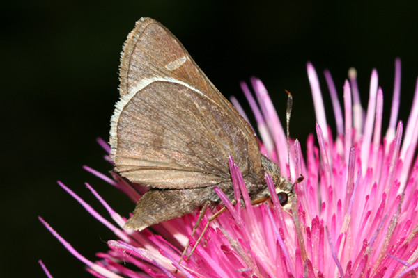 Image 400x300