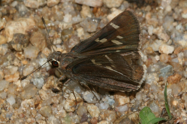Image 400x300