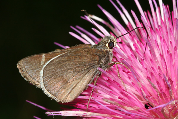 Image 400x300