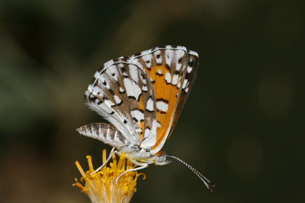 Image 400x300