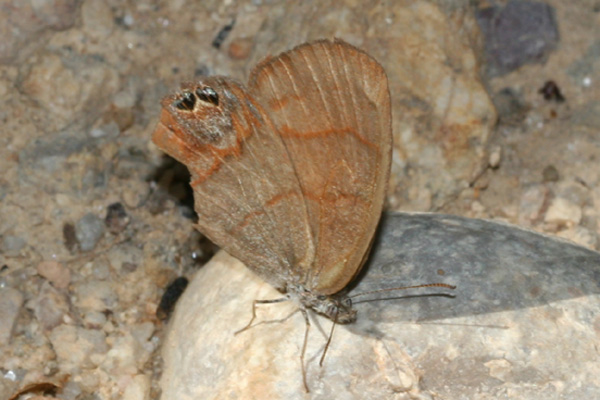 Image 400x300