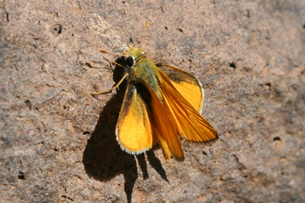 Image 400x300