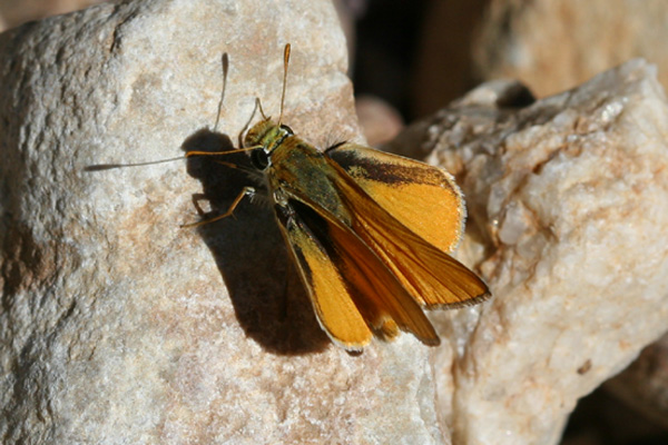 Image 400x300