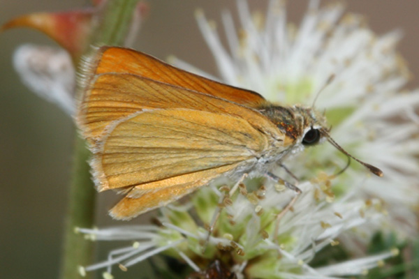 Image 400x300
