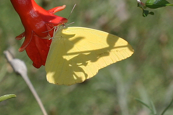 Image 400x300