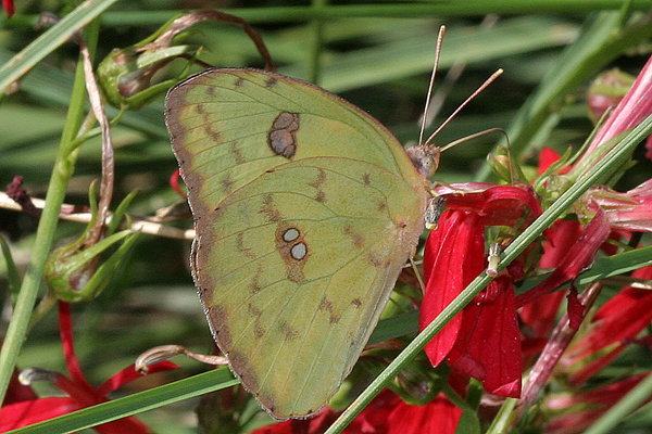 Image 400x300