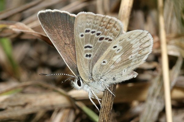 Image 400x300