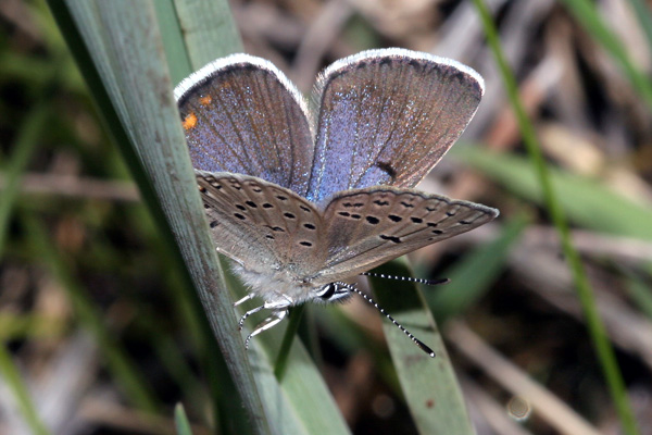 Image 400x300