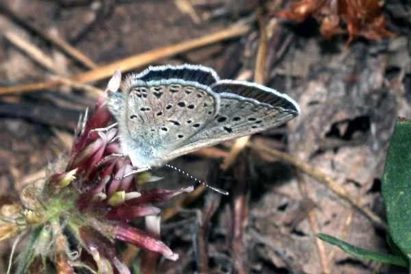 Image 400x300