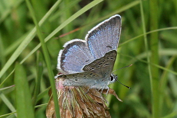 Image 400x300
