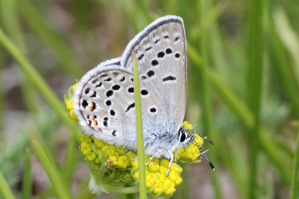 Image 400x300