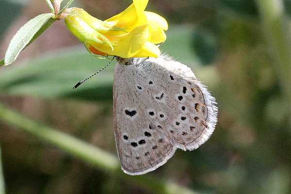 Image 400x300