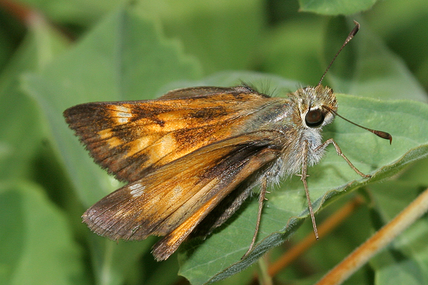 Image 400x300