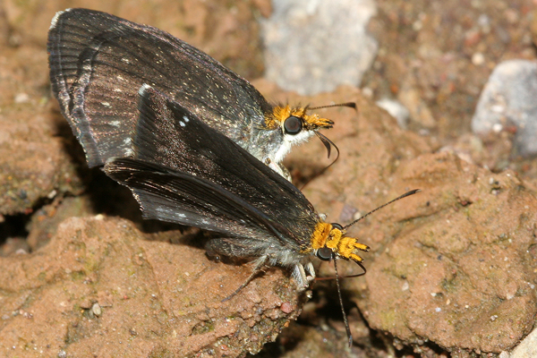 Image 400x300