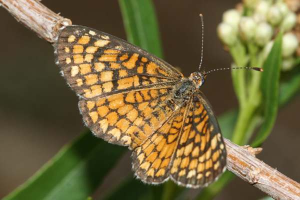 Image 400x300