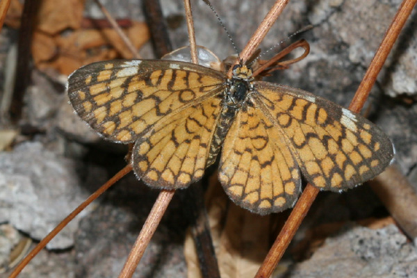 Image 400x300