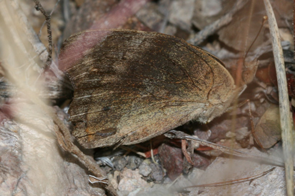 Image 400x300
