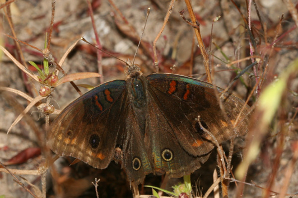 Image 400x300