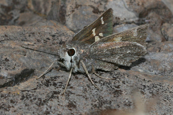 Image 400x300