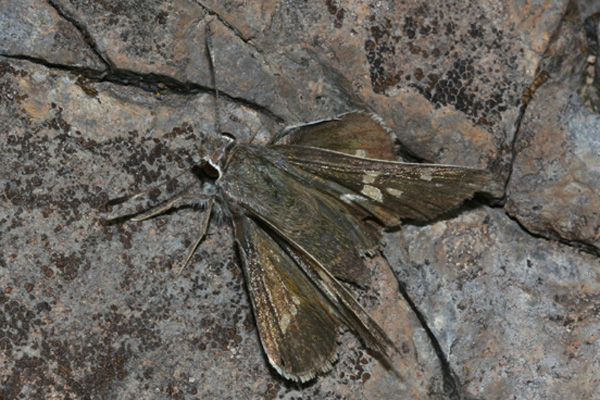Image 400x300