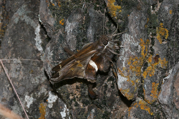 Image 400x300