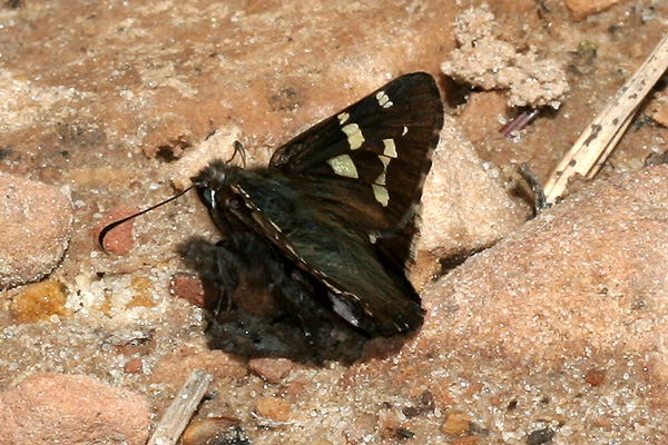 Image 400x300