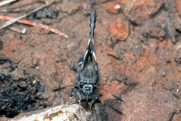 Image 400x300