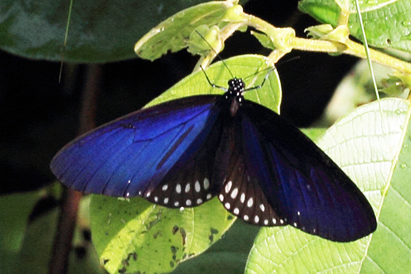 Image 400x300