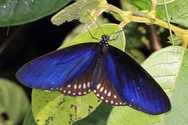 Image 400x300