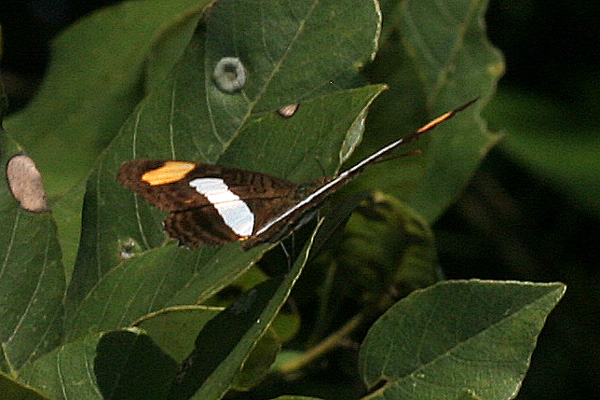 Image 400x300