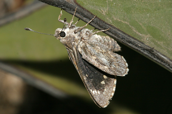 Image 400x300