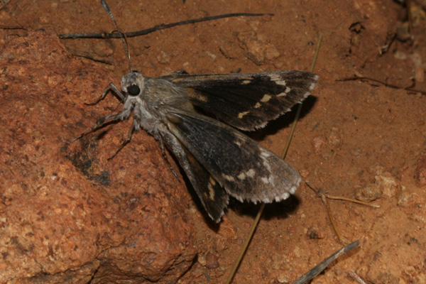 Image 400x300