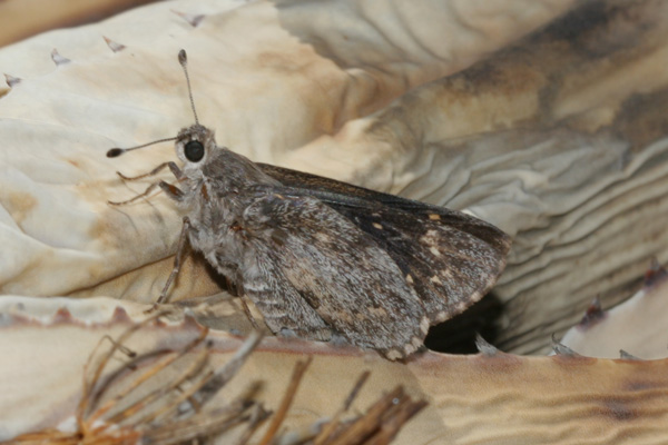 Image 400x300