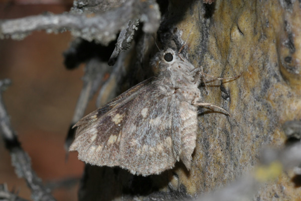 Image 400x300
