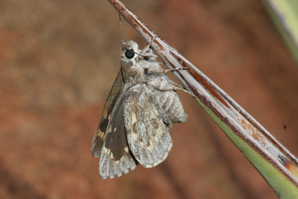 Image 400x300