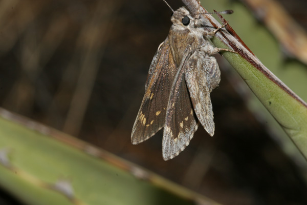 Image 400x300