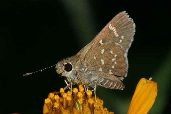 Image 400x300