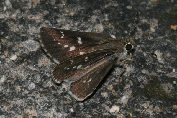 Image 400x300